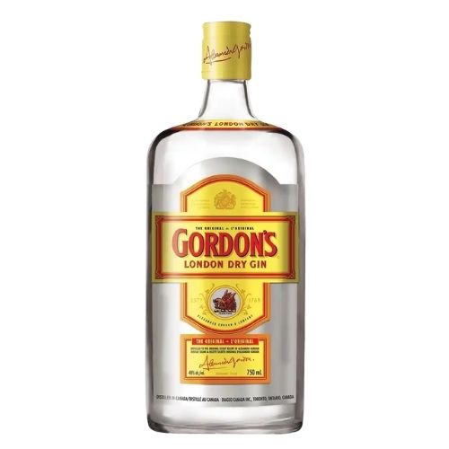 Gordon’s Gin (10cl)
